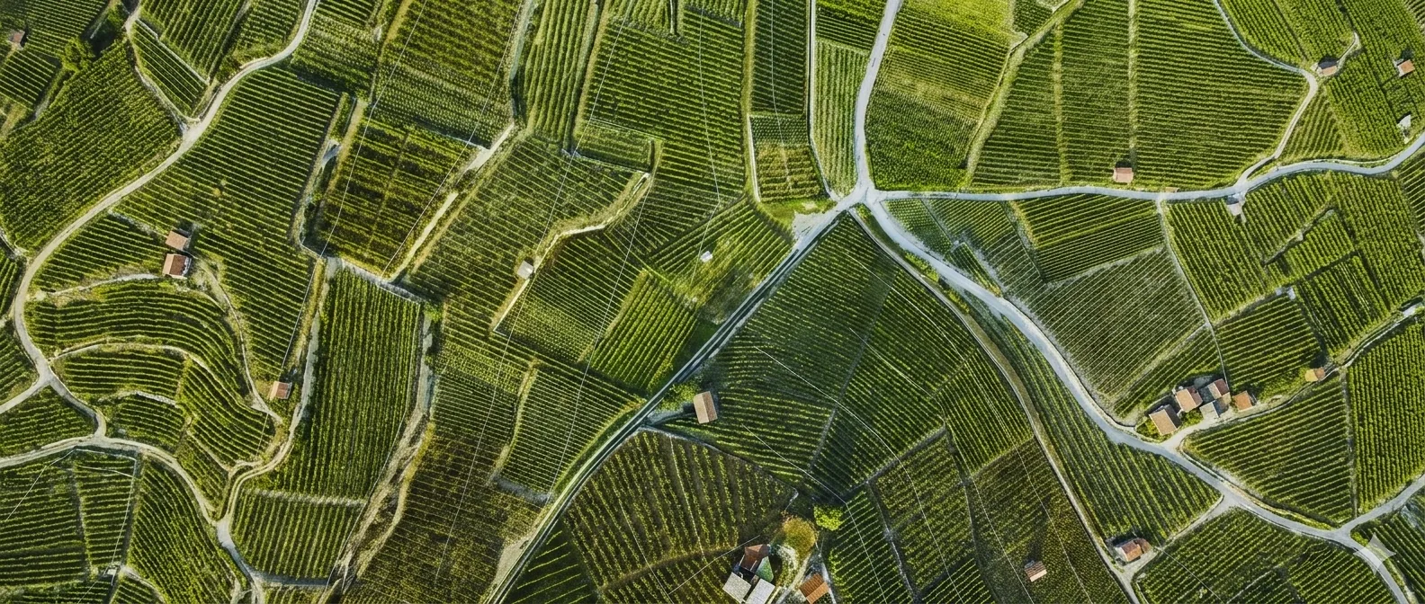 Aerial view of an Italian field