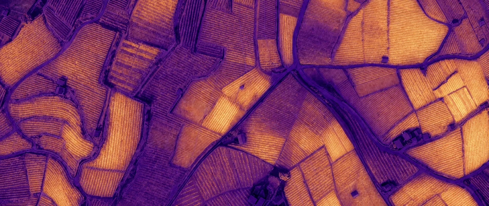 Photosynthesis heatmap of the same field