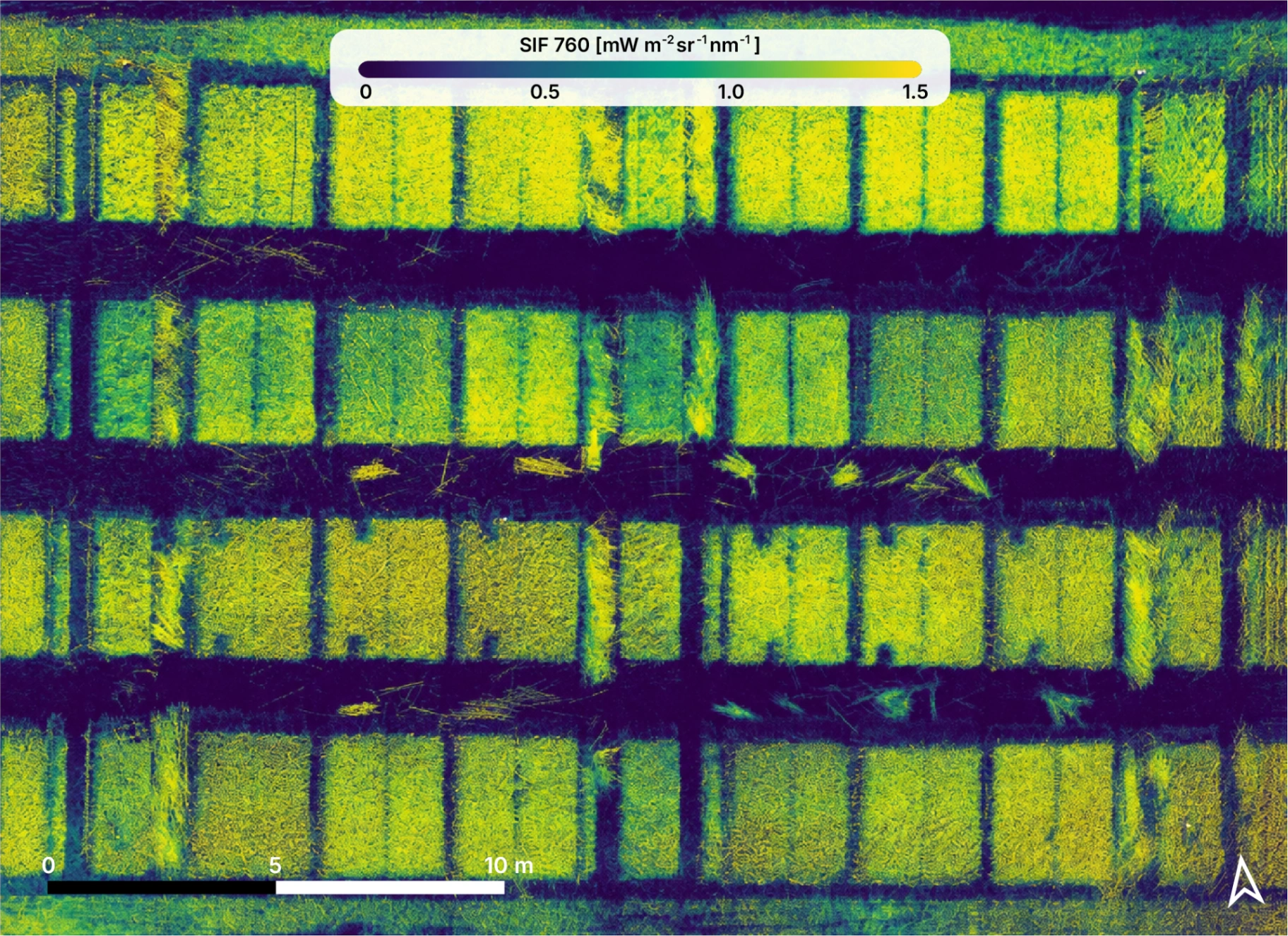 Aerial SIF (solar induced fluorescence) map of crop plots at 760 nm